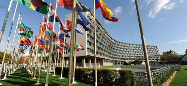 Las Naciones Unidas instan a ofrecer educación sexual integral de calidad Las Naciones Unidas instan a ofrecer educación sexual integral de calidad